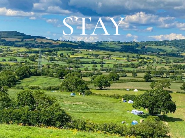 Stay
