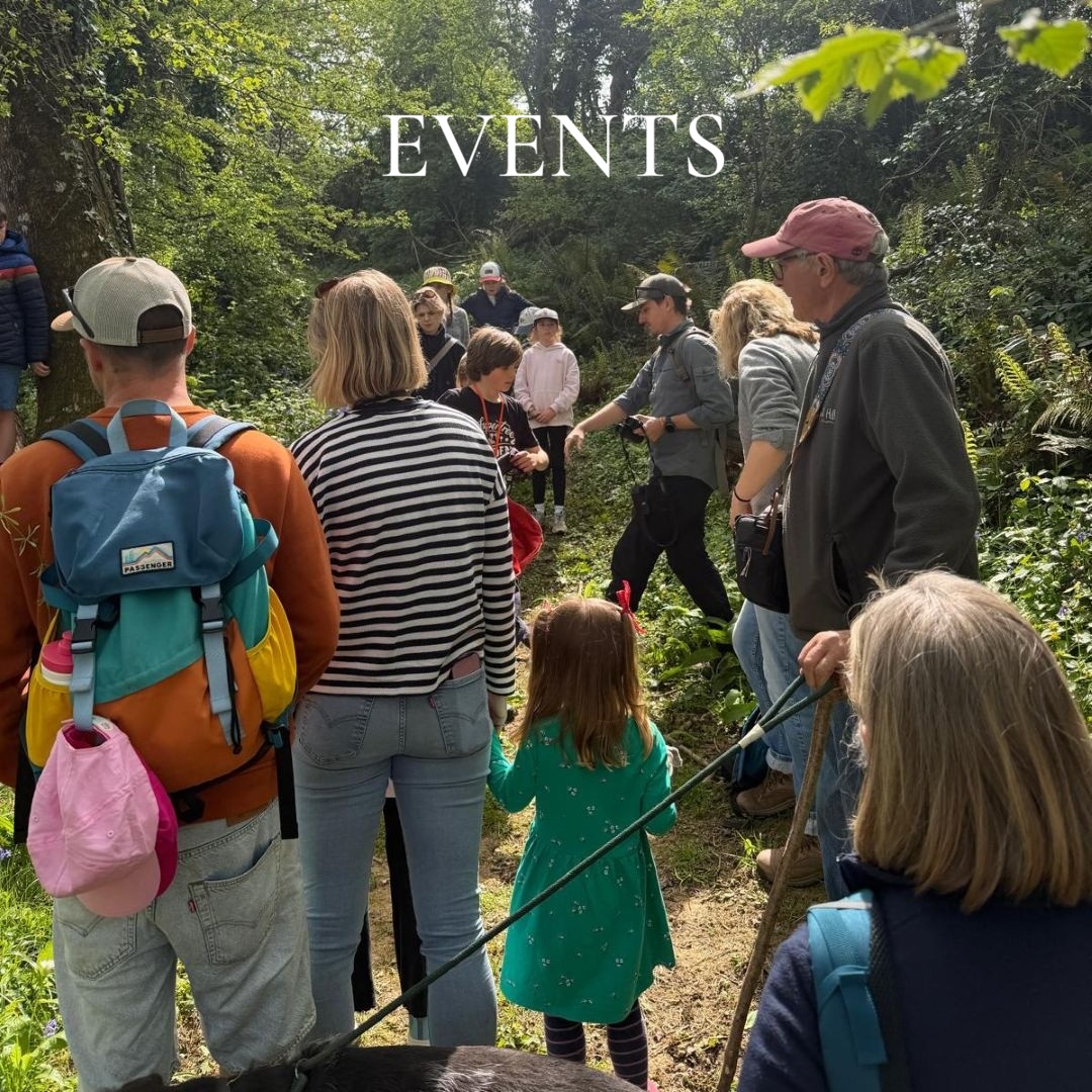 Events